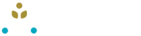 Go to the AFA Website